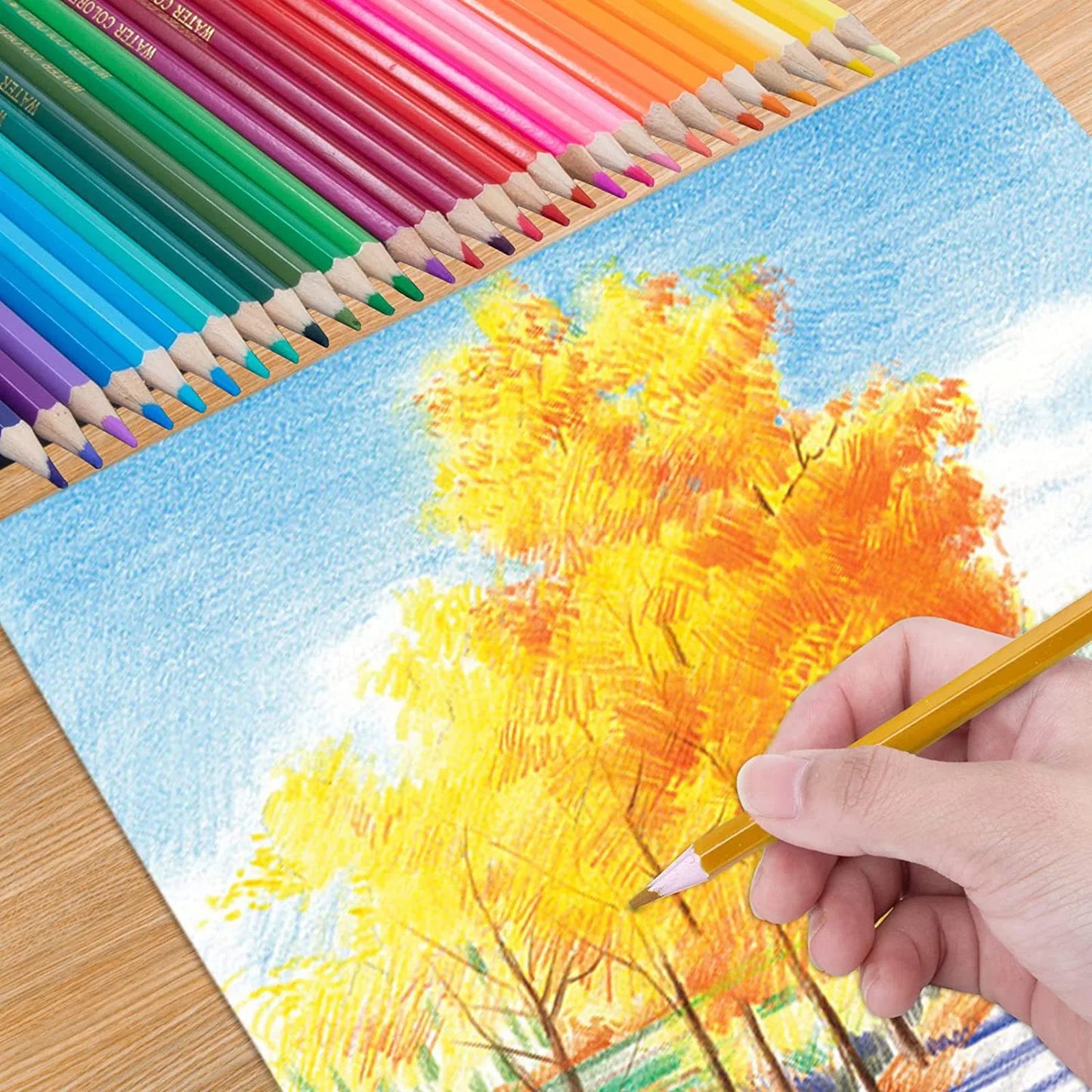 12/24/36/48/72 Colors Oily Colored Pencils Hexagon Wooden Handle Set Artist Drawing Sketch Art Design